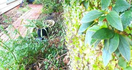 Magnolia Cottage- wineries, main street, station