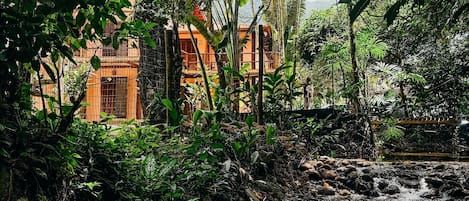 Hiên