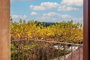 Property grounds - Sierra Quilama Hoyamoros (San Miguel de Valero)