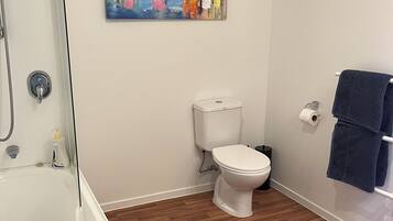 Hair dryer, towels, soap, toilet paper