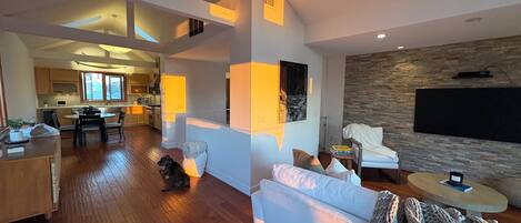 Smart TV, fireplace, music library, stereo