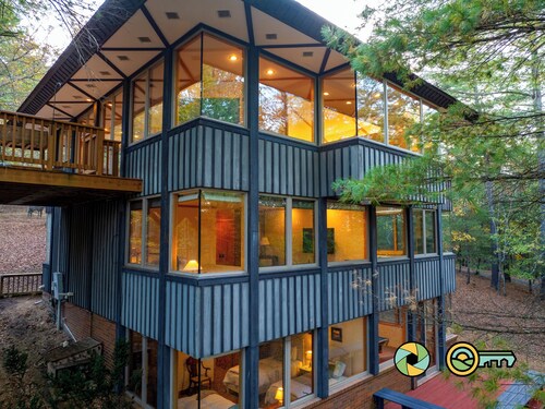 Arbor Vitae - experience the Tree of Life!