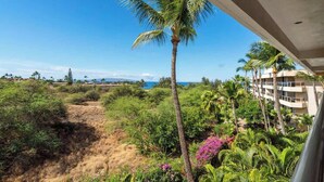 Un balcón con vista a un paisaje tropical, que incluye una palmera, vegetación exuberante y una masa de agua distante.