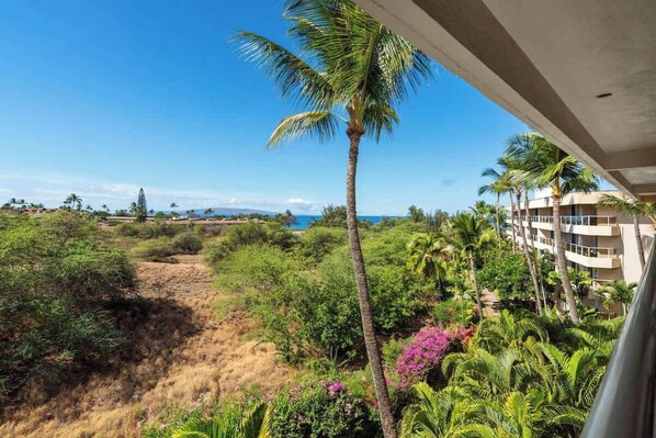 A balcony with a view of a tropical landscape, including a palm tree, dense greenery, and a distant body of water.