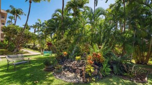 Un jardín con un banco, palmeras y diversas plantas.