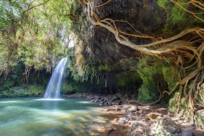 A natural waterfall, clear water, and surrounding greenery.