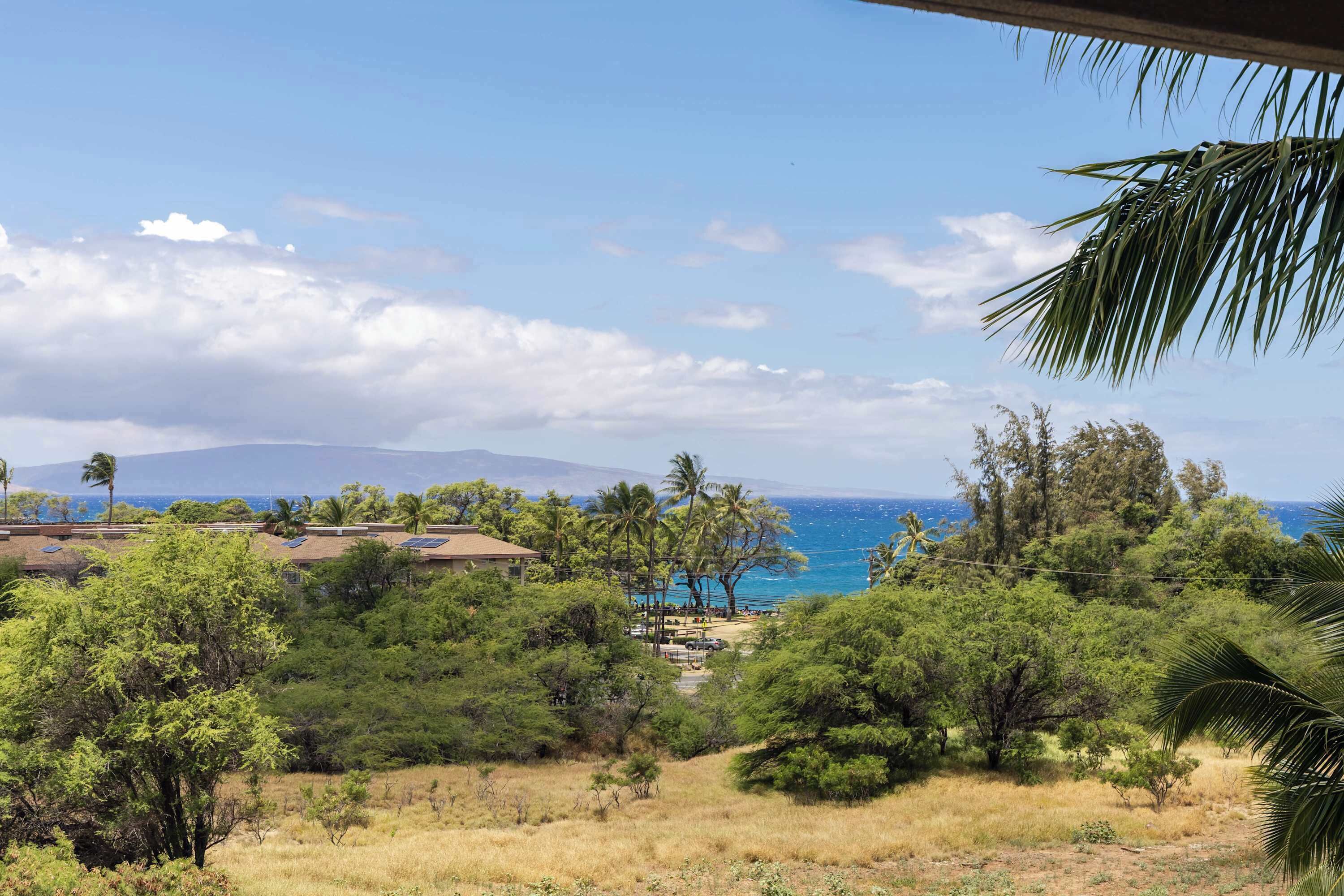 A coastal landscape with a view of the ocean, palm trees, and a mountain in the distance.