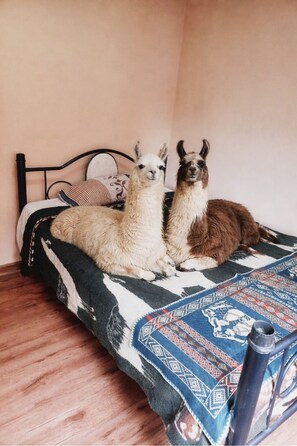 2 bedrooms, free WiFi - WanderLoft (Quito)