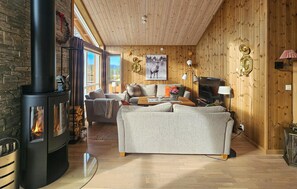 Télévision, cheminée