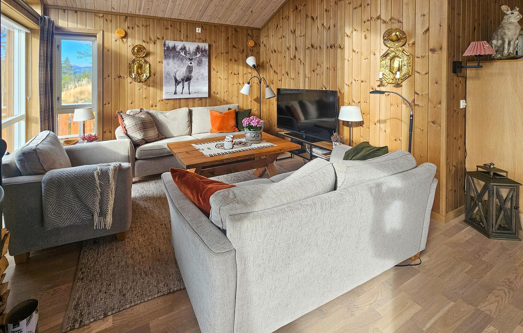 Télévision, cheminée