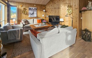 Télévision, cheminée