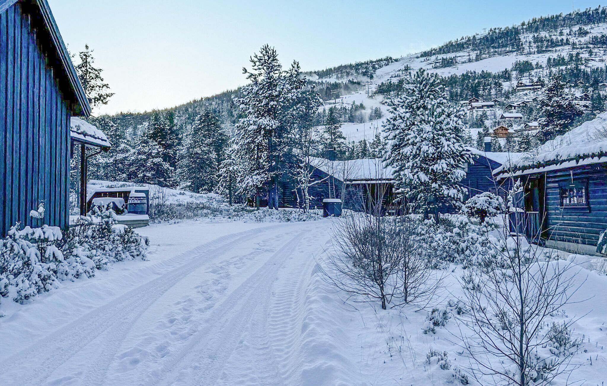 المنطقة المحيطة بالمنشأة