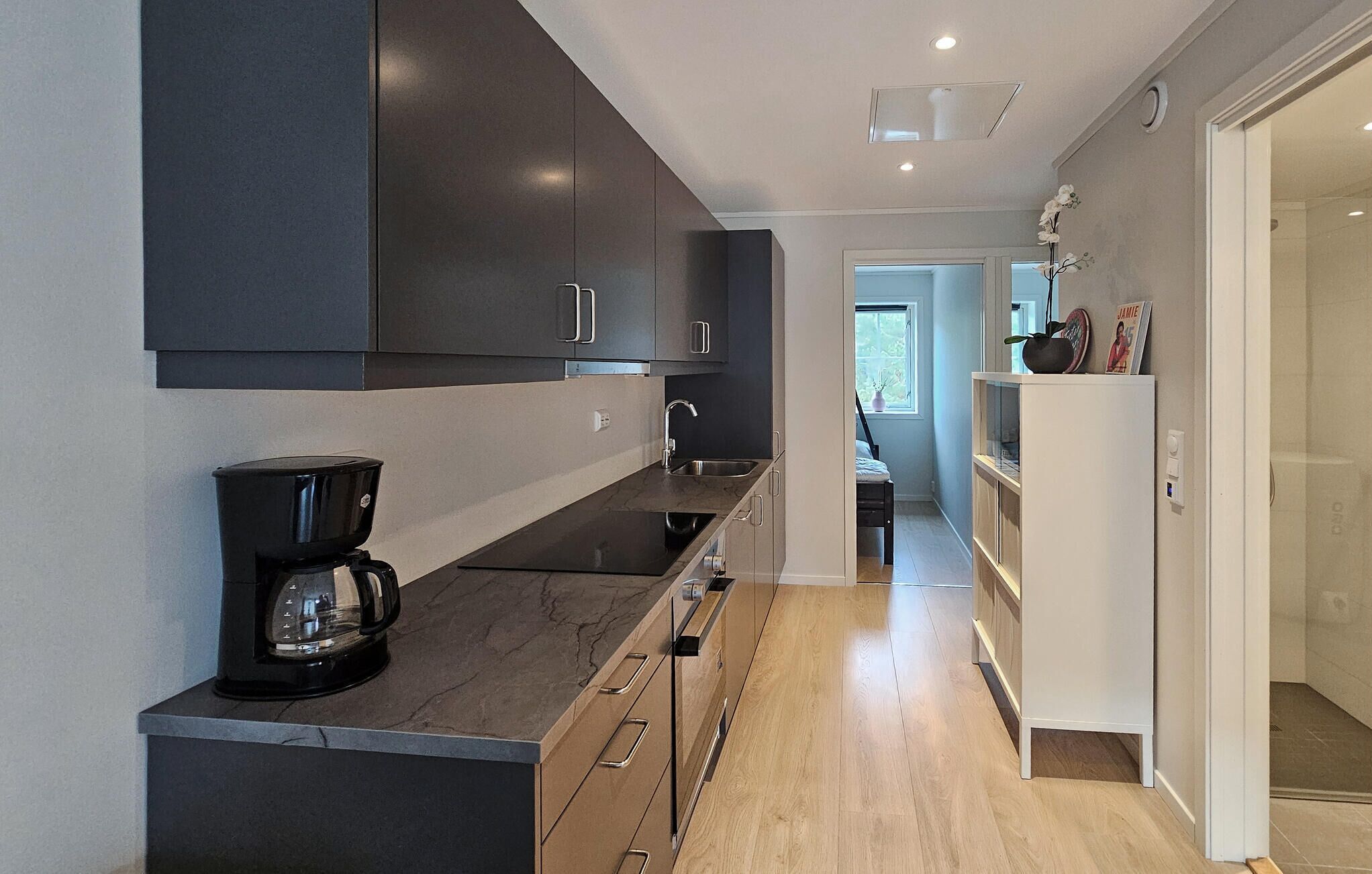 Fridge, oven, dishwasher, coffee/tea maker