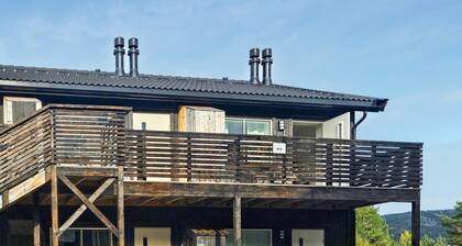 Impresionante apartamento de 2 dormitorios en Vrådal