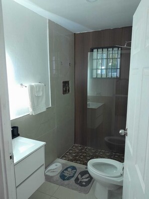 Hair dryer, towels, soap, toilet paper