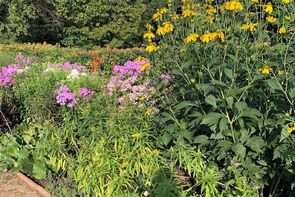 Àrea exterior de l'allotjament