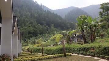 Ngoại thất
