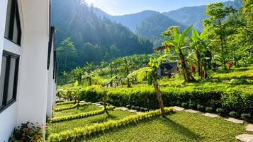 A landscaped garden with a variety of plants and a small structure, surrounded by mountains.