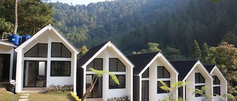 Deluxe Cabin, Mountain View | Television