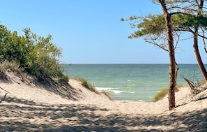 Fiskeri