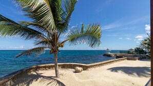 A beach with a palm tree, a gazebo, and a clear blue sea. - Teal Horizon Oceanfrontcaribbean Escape Tower Isle (Tower Isle)