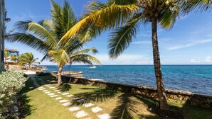 A coastal property with a paved pathway leading to the ocean, palm trees, and a stone wall. - Teal Horizon Oceanfrontcaribbean Escape Tower Isle (Tower Isle)