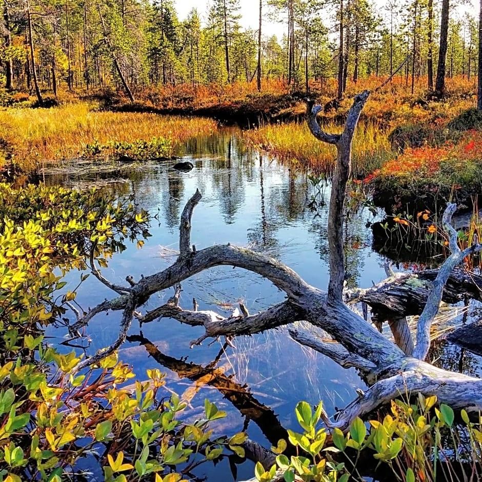 Un paisaje natural con un cuerpo de agua tranquilo rodeado de árboles y vegetación.