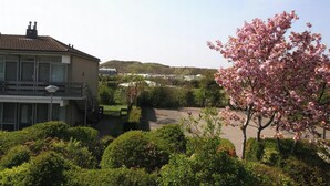 Un quartier résidentiel avec une maison, un cerisier en fleurs et une vue sur une colline où l’on aperçoit des bâtiments au loin.