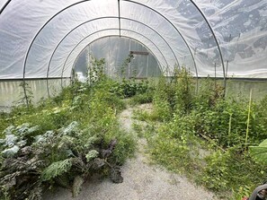 المنطقة المحيطة بالمنشأة