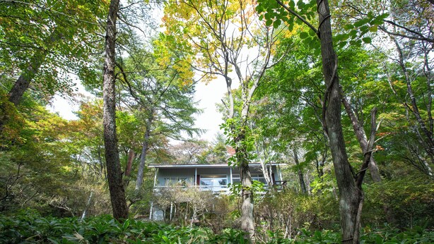 A house surrounded by dense forest with tall trees and undergrowth. - rinne 2nd living Nasu Forest (Nasu)