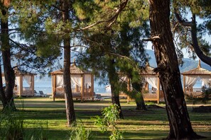 Vista desde la propiedad