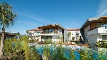 Vista desde la propiedad