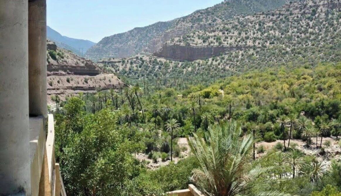 A view of a mountainous landscape with sparse vegetation and a clear sky.