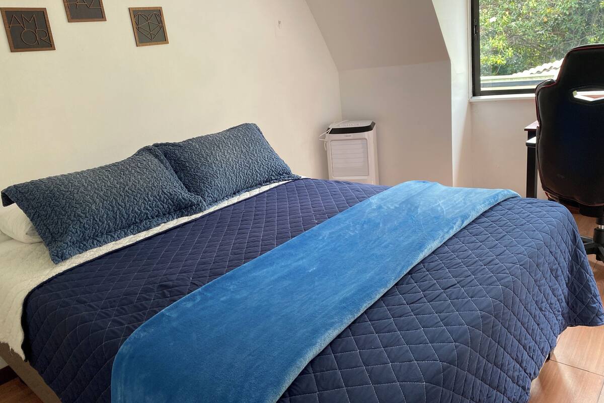 Une chambre à coucher avec un lit, des oreillers, une fenêtre et un radiateur.