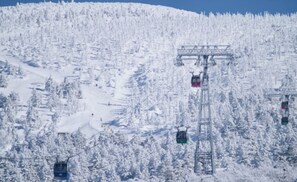 Skiing - YuiLocalZao (Yamagata)