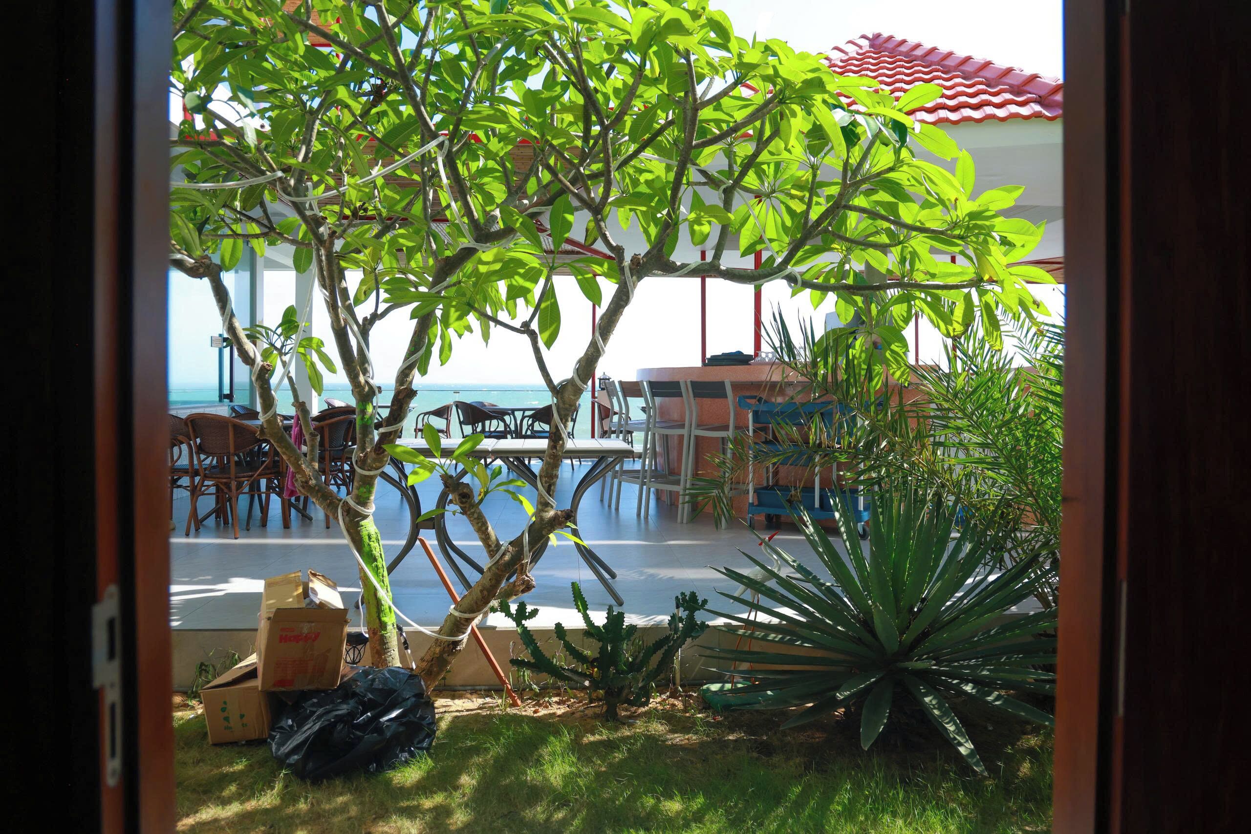 A view of a poolside area with chairs and tables, a cactus plant, and a view of the sea.