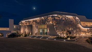 الإطلالة من المنشأة