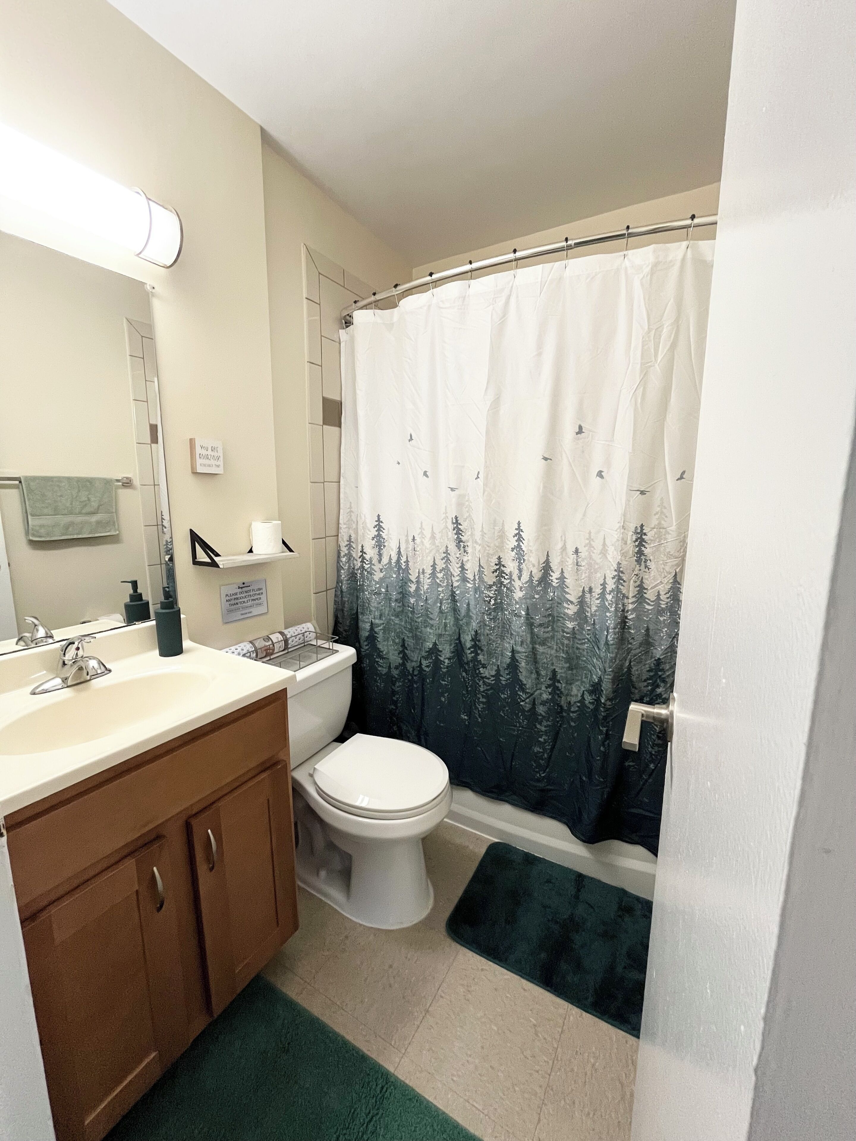 Hair dryer, towels, soap, toilet paper