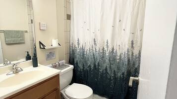 Hair dryer, towels, soap, toilet paper