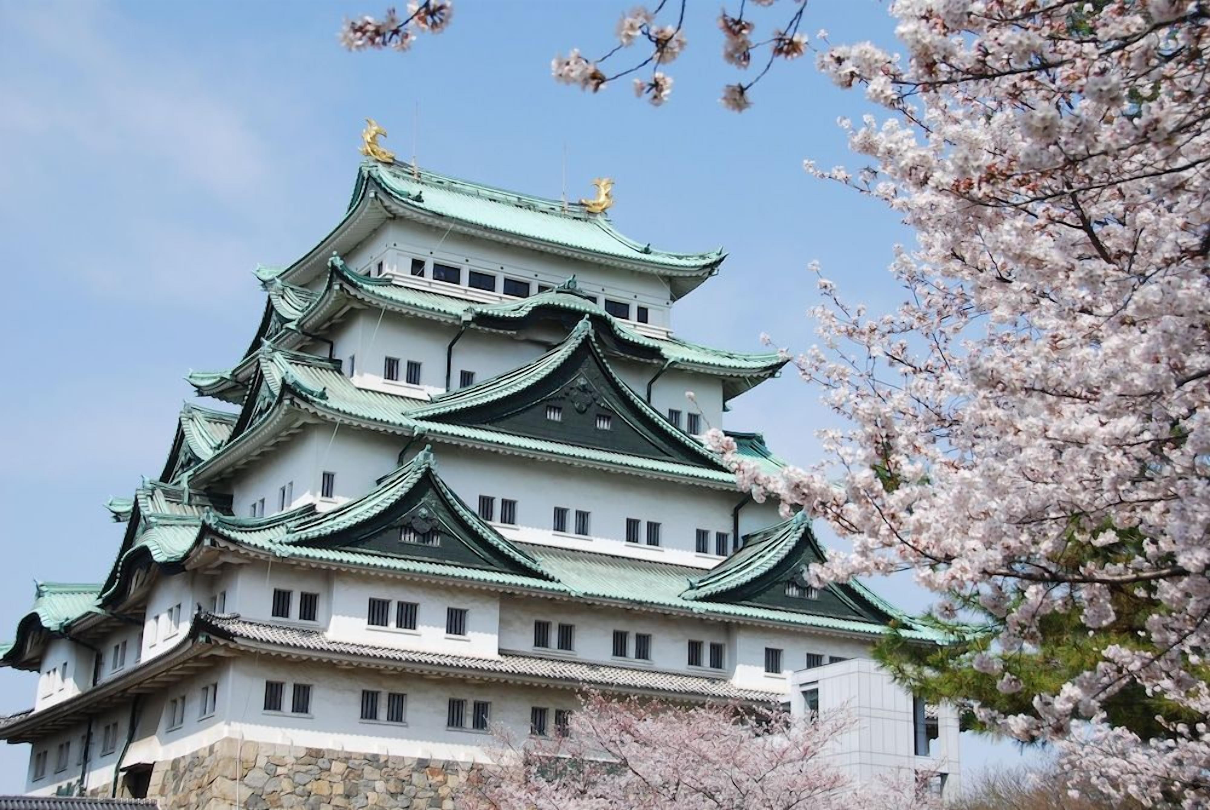 A traditional multi-tiered building with green roofs and white walls, surrounded by cherry blossoms.