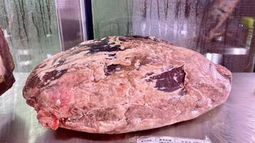A large, irregularly shaped object with a rough texture, possibly a piece of meat, on a metallic surface.