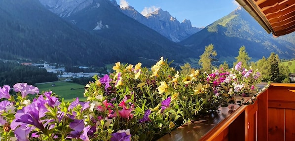 Room - Gasthof Gra Benhof (Vienna)