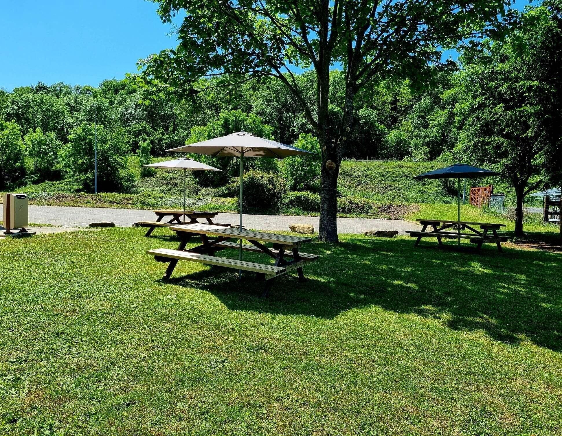A picnic area with multiple picnic tables and umbrellas, surrounded by lush greenery and trees.