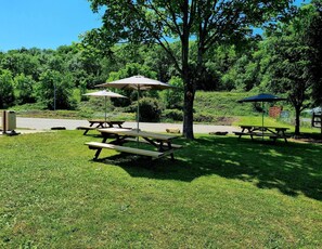 Un espace pique-nique équipé de plusieurs tables et de parasols, entouré d’une végétation luxuriante et d’arbres.