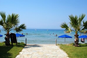 Un sentier de pierres menant à une plage bordée de palmiers et ponctuée de parasols bleus.