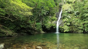 Een waterval in een bebost gebied met helder water en rotsen onderaan.
