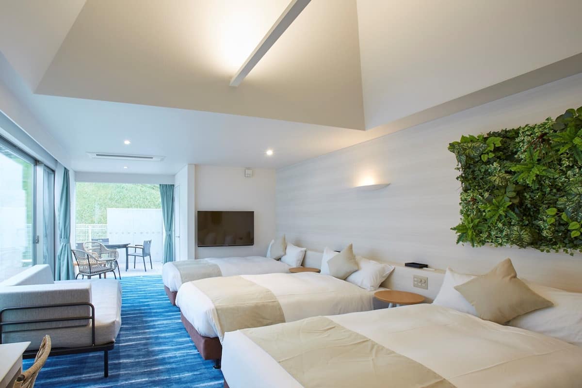 Une chambre d’hôtel avec deux lits, une télévision, une plante fixée au mur et une vue sur l’extérieur.