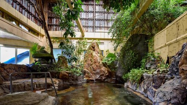 An indoor pool with a waterfall, surrounded by rock formations and greenery. - Susono Tansan Karushiumu Onyoku Inchinose (Susono)