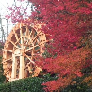 Une grande structure en bois abritant une roue à eau, entourée du feuillage automnal.