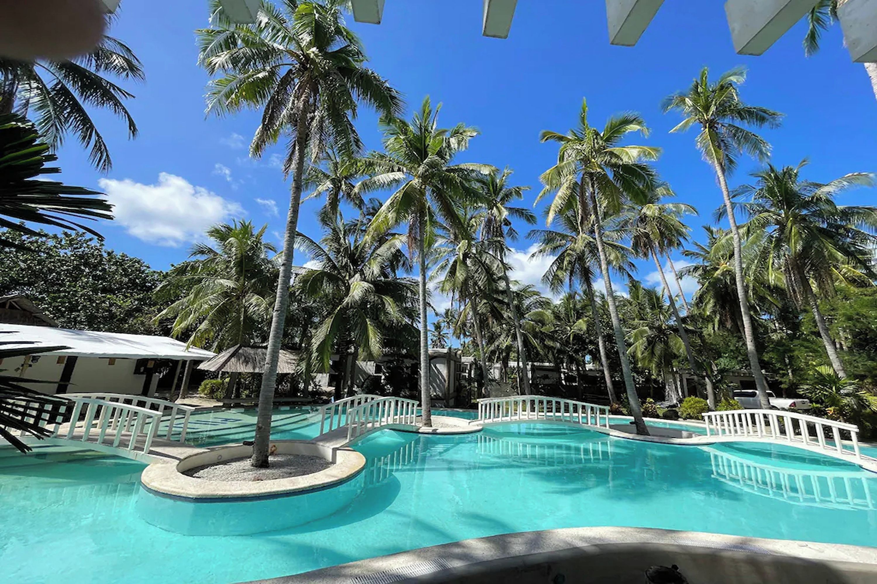 Área de piscina com palmeiras e céu azul e límpido.